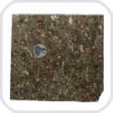 NWA 14743 CVox3 Meteorite