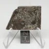 NWA 10731 Meteorite 7.8g