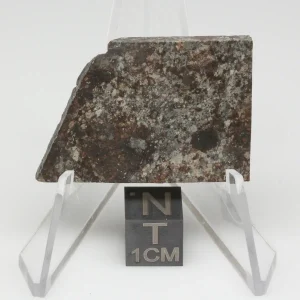 NWA 10731 Meteorite 7.8g