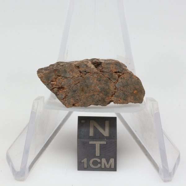 NWA 10828 Meteorite 3.0g