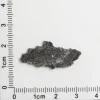 NWA 11788 Lunar Meteorite 0.66g