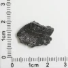 NWA 11788 Lunar Meteorite 0.78g