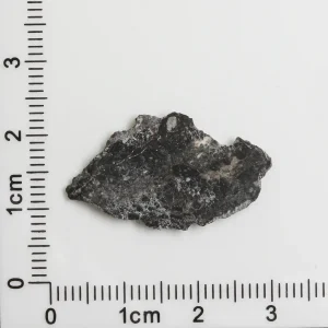 NWA 11788 Lunar Meteorite 0.91g