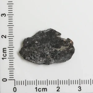 NWA 11788 Lunar Meteorite 1.25g