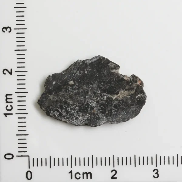 NWA 11788 Lunar Meteorite 1.25g