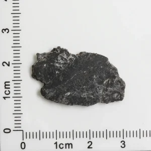NWA 11788 Lunar Meteorite 1.51g
