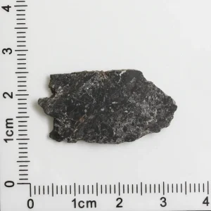 NWA 11788 Lunar Meteorite 1.90g