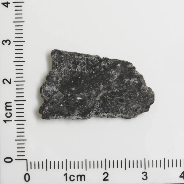NWA 11788 Lunar Meteorite 1.57g