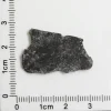 NWA 11788 Lunar Meteorite 1.33g