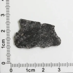 NWA 11788 Lunar Meteorite 1.33g