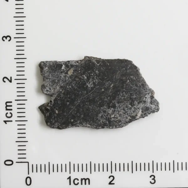 NWA 11788 Lunar Meteorite 1.70g