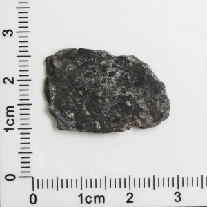 NWA 11788 Lunar Meteorite 1.44g