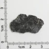 NWA 11788 Lunar Meteorite 1.28g