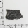 NWA 11788 Lunar Meteorite 1.69g