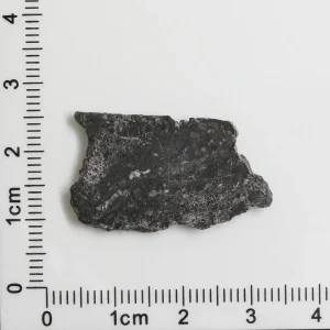 NWA 11788 Lunar Meteorite 1.69g