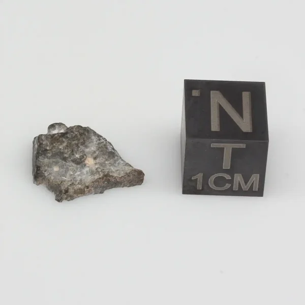 NWA 11788 Lunar Meteorite 0.66g End Cut