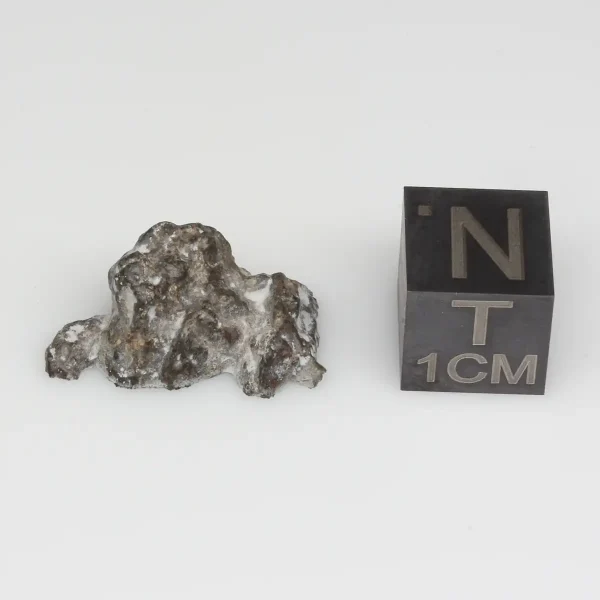 NWA 11788 Lunar Meteorite 1.47g End Cut
