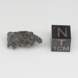 NWA 11788 Lunar Meteorite 1.47g End Cut