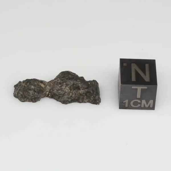 NWA 11788 Lunar Meteorite 1.39g End Cut