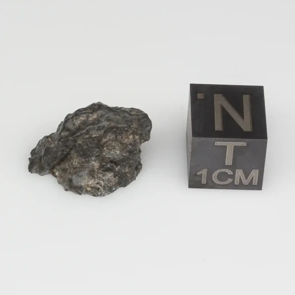 NWA 11788 Lunar Meteorite 1.96g End Cut