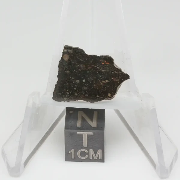NWA 13758 Meteorite 1.6g