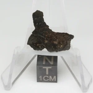 NWA 13758 Meteorite 1.7g
