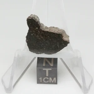 NWA 13758 Meteorite 1.9g