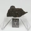 NWA 13758 Meteorite 2.8g