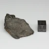 NWA 13758 Meteorite 14.5g Windowed