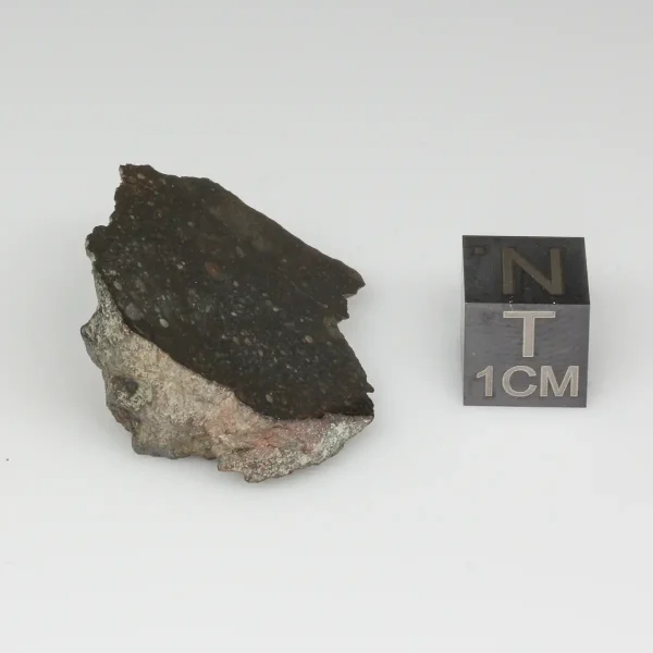 NWA 13758 Meteorite 14.0g End Cut