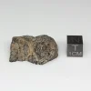 NWA 13758 Meteorite 14.0g End Cut