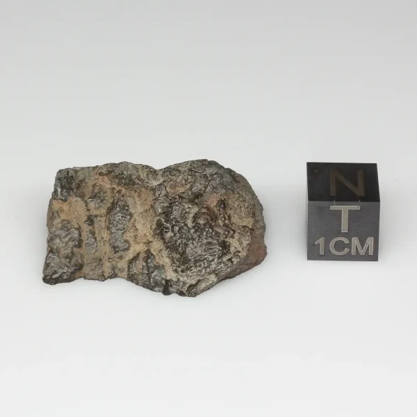 NWA 13758 Meteorite 14.0g End Cut