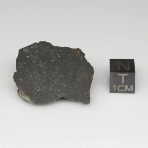 NWA 13758 Meteorite 14.0g End Cut