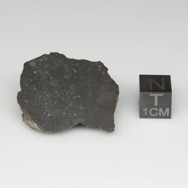NWA 13758 Meteorite 14.0g End Cut