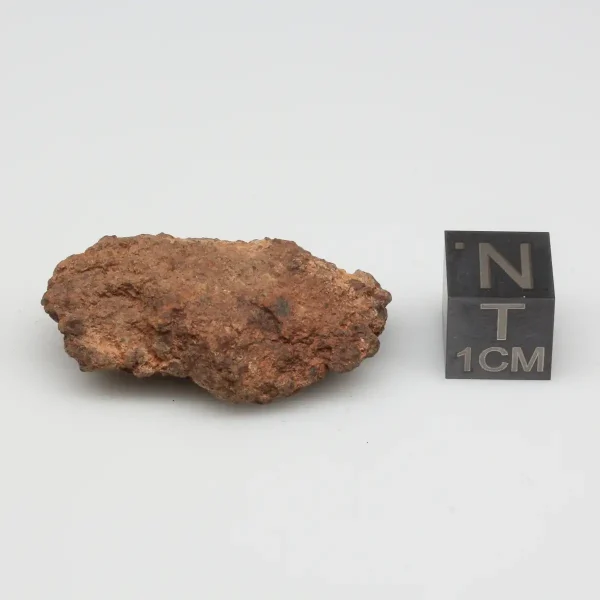 Dalgety Downs Meteorite 8.1g