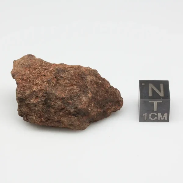 Dalgety Downs Meteorite 19.5g