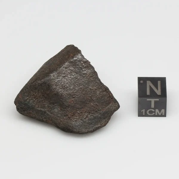 Gao-Guenie 31.1g