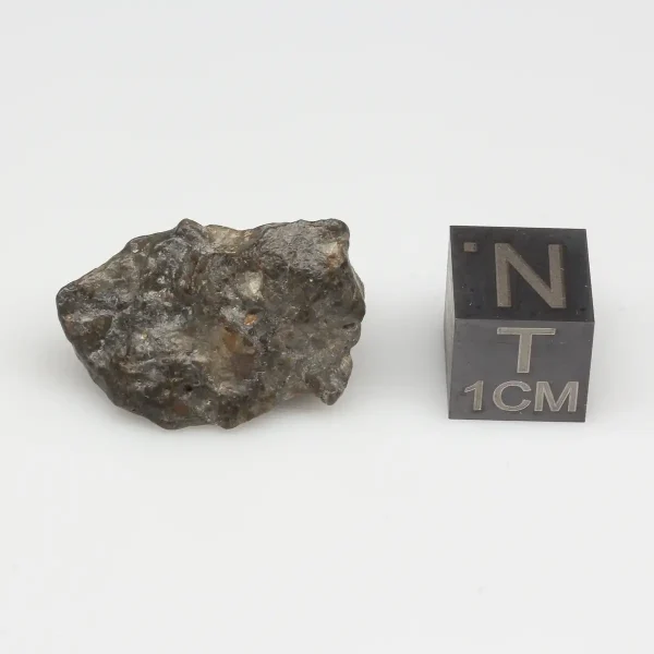 Laâyoune 002 Lunar Meteorite 4.88g Individual
