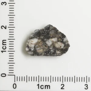 Touat 005 Lunar Meteorite 0.99g