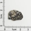 Touat 005 Lunar Meteorite 0.63g