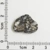 Touat 005 Lunar Meteorite 0.95g
