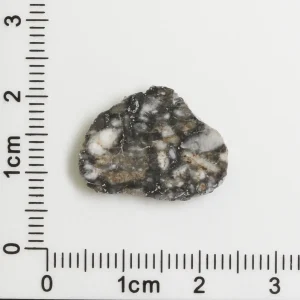 Touat 005 Lunar Meteorite 0.95g
