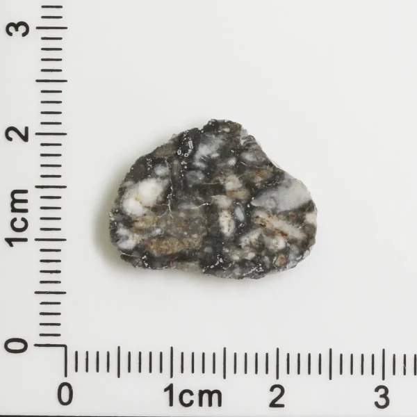 Touat 005 Lunar Meteorite 0.95g