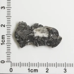 Touat 005 Lunar Meteorite 1.11g