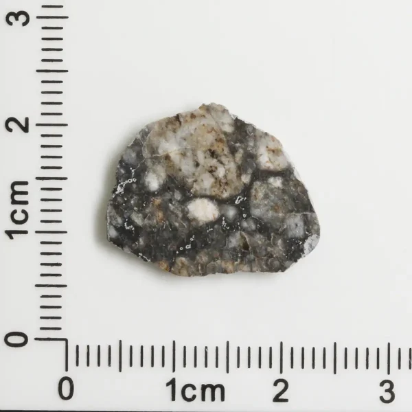 Touat 005 Lunar Meteorite 0.80g