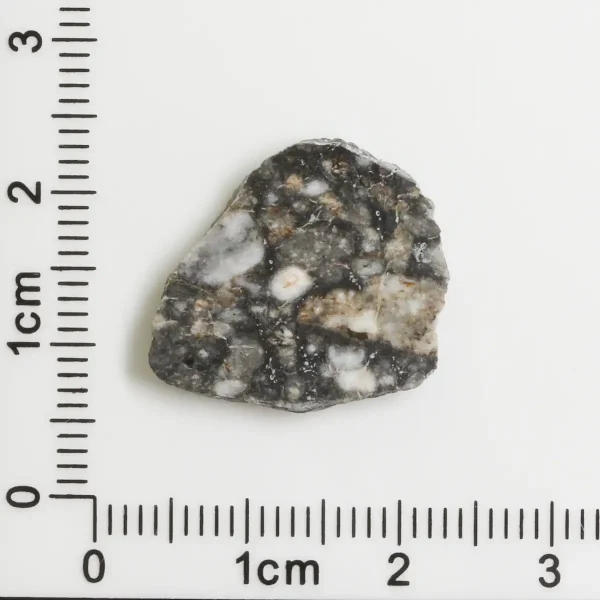 Touat 005 Lunar Meteorite 1.20g