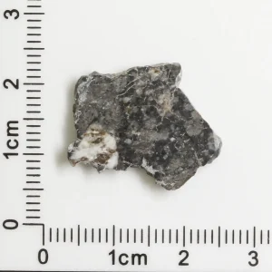 Touat 005 Lunar Meteorite 1.31g