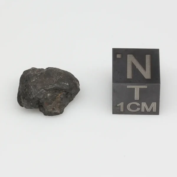 Bassikounou Meteorite 1.9g