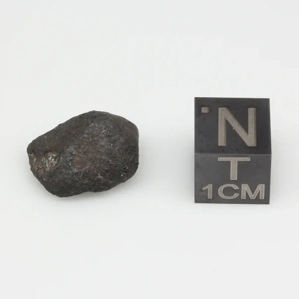 Bassikounou Meteorite 2.3g