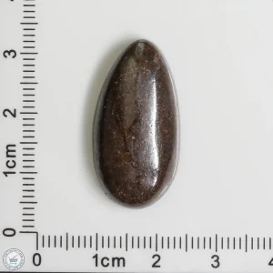 Meteorite Cabochon 4.6g 23ct